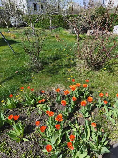 продажа 3-к дача Новомосковский, Новомосковск, 69999 $ Новомосковськ - зображення 7