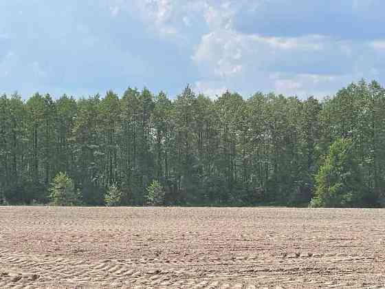 продажа земля сельскохозяйственного назначения Макаровский, Марьяновка, 105000 грн. 