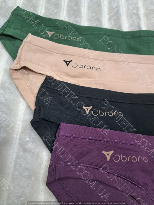 Женские трусы-слип в ассорти цветов ТМ "Obrana" (арт. 200-30/1) Кривой Рог - изображение 5