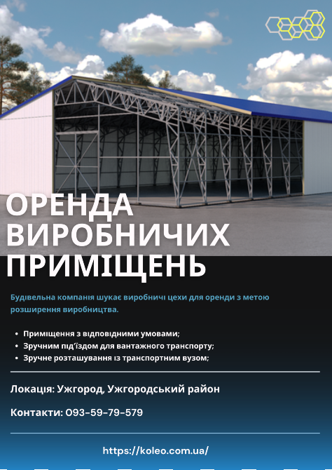 Візьмемо в оренду ангар Ужгород - зображення 1