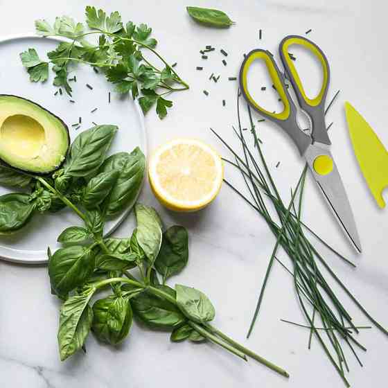 Кухонні ножиці Mаеstro MR-1440 Київ