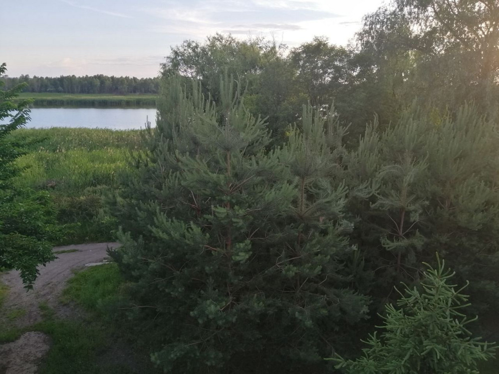 Продам. Дом 4-к Березановка, ул.Белградская. Днепр - изображение 10