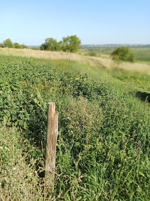 с. Гряда продаж земельної ділянки під забудову Львів - зображення 1