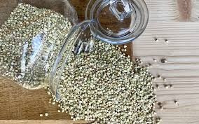 Продаж гречки, гречихи. Ужгород - зображення 1