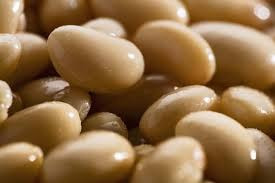 Купуємо квасолю на переробку, консервування Запоріжжя - зображення 1