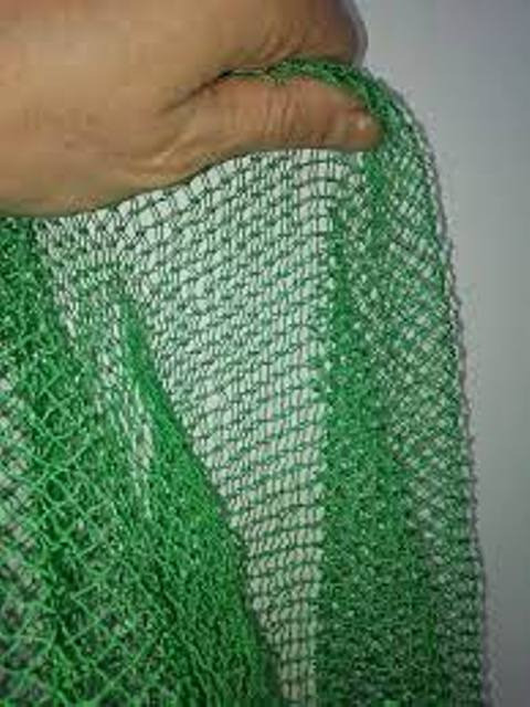 Паук-малявочник Чернівці - зображення 2