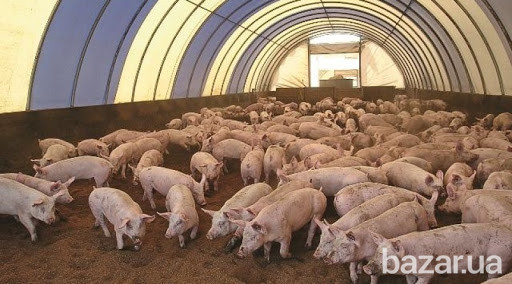 Каркасно-тентовые сооружения, быстровозводимые мобильные здания, КТС. Харьков - изображение 11