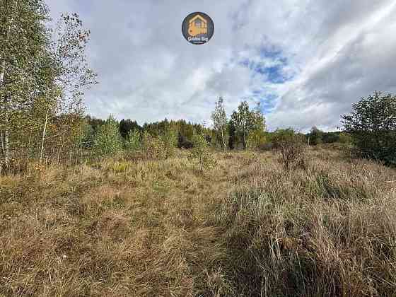 продажа земля сельскохозяйственного назначения Вышгородский, Ровы, 35000 $ 