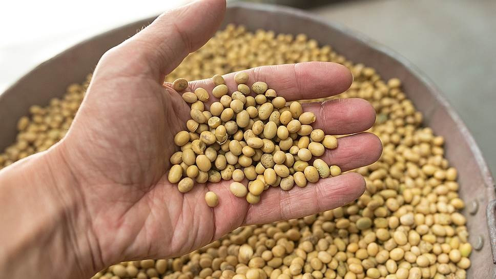 Куплю половинки сої. Куплю відходи кукурудзи Кропивницький - зображення 1