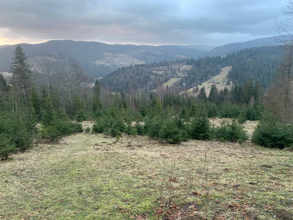 Земельна ділянка 0.35 га в Микуличині Яремче - зображення 4