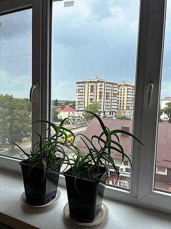 продажа 4-к квартира Луцк, 61000 $ Луцьк - зображення 11