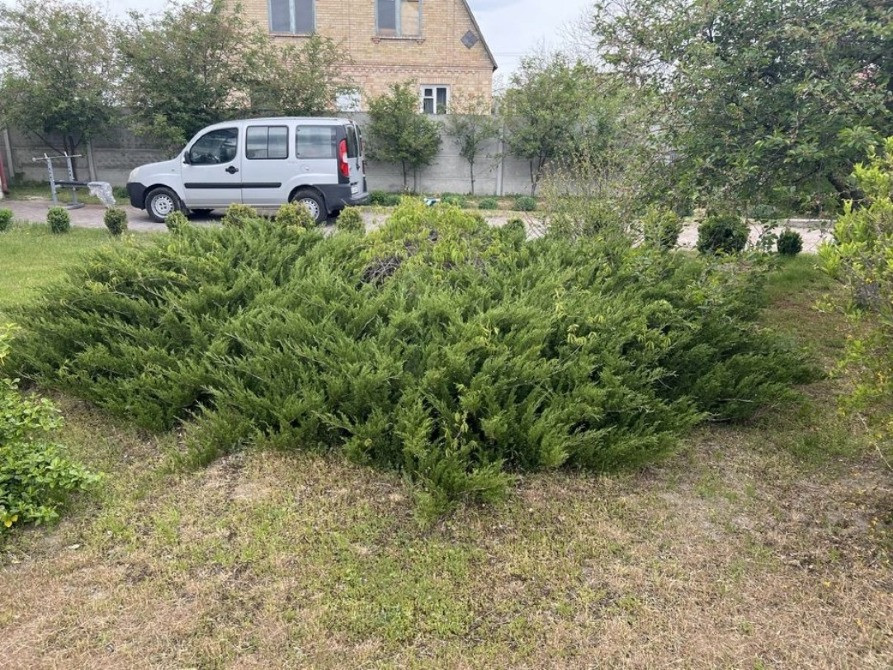 Село Забуччя, Києво-Святошинський р-н, продам будинок, ділянка 0.25 га Буча - изображение 8