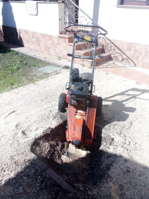 Спилим обрежем деревья, удалим поросли Харків - зображення 1