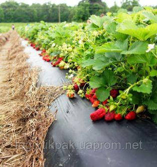 Пленка для мульчирования|30мкм|1,2м*500м|Черная Харків - зображення 6