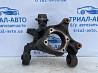 Цапфа задняя левая Dodge Journey 2007-2020 68083245AE (Арт. 73276) Киев