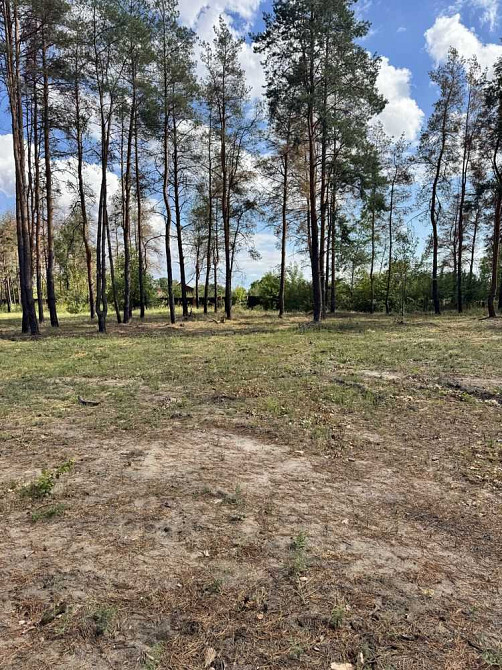 продажа участок под жилую застройку Новомосковский, Песчанка, 12500 $  - изображение 7