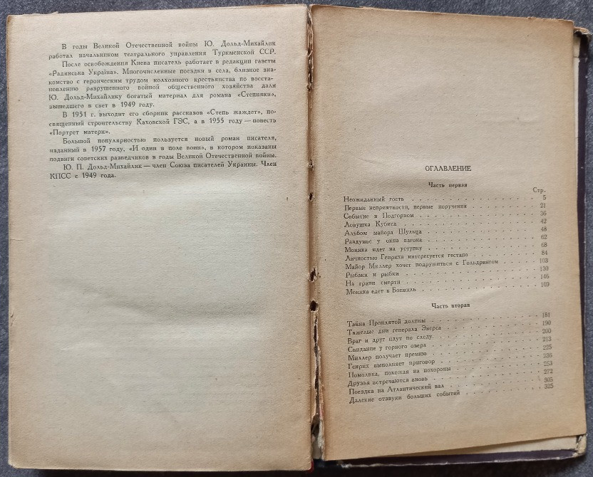 И один в поле воин. Юрий Дольд-Михайлик Харьков - изображение 6