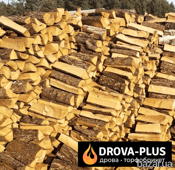 Дрова паливні Рожище твердолистяних порід Рожище - зображення 1