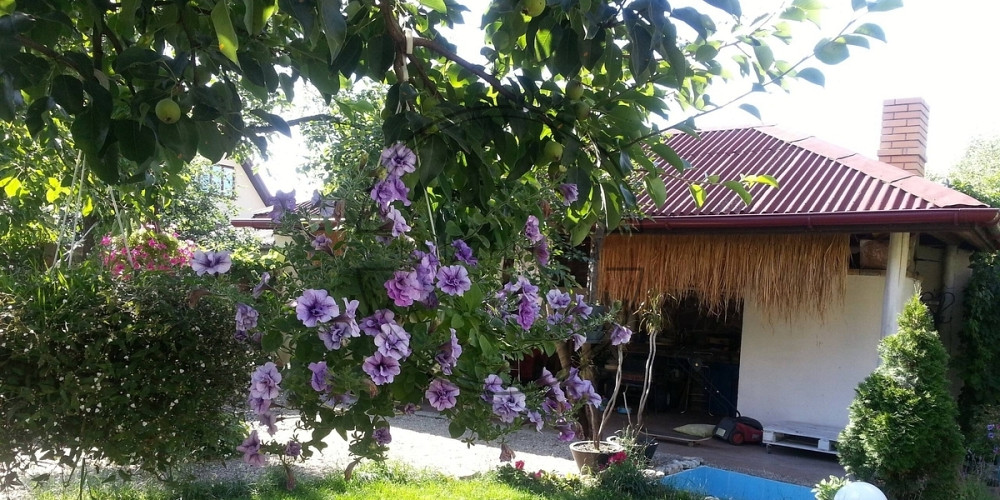 Без комиссии! Аренда дома на Десне, с. Зазимье Код объекта №139347 Київ - зображення 10