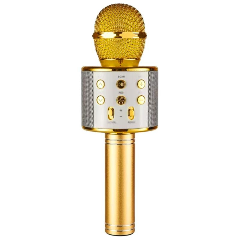 Уценка Караоке Микрофон-колонка WS858 Херсон - зображення 1