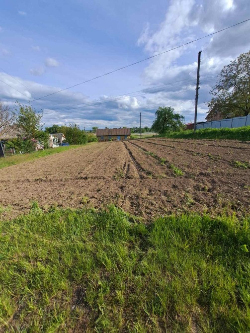 продаж приватизованої земельної ділянки Млинов - изображение 2