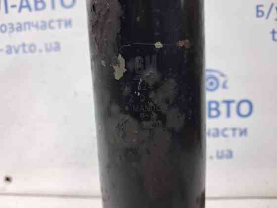 Амортизатор задний Chevrolet Captiva 2006-2018 20924216 (Арт. 65048) Киев