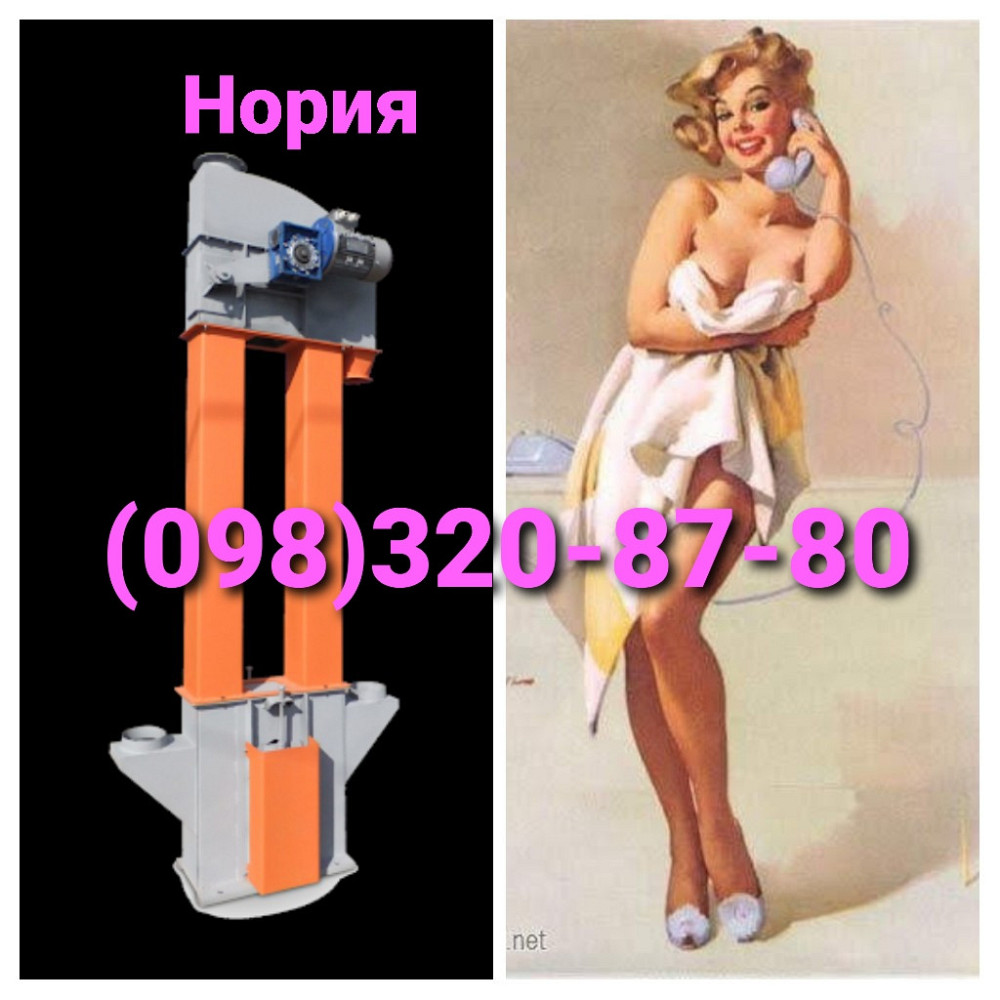 Нижний барабан норийный ф 740 Київ - зображення 3