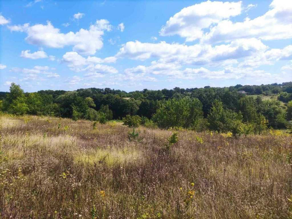 продажа участок под жилую застройку Богуславский, Богуслав, 6200 $ Богуслав - изображение 1