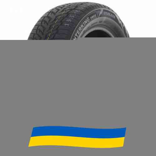 225/45 R17 Doublestar WINTERKING DW08 94H Легкова шина Київ