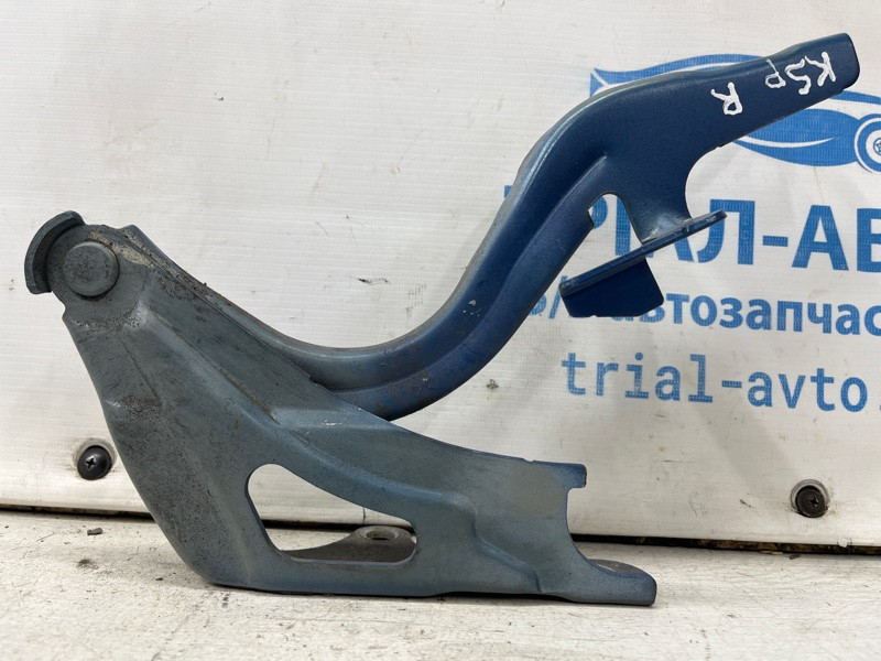 Петля капота правая Kia Sportage SL 1.7 DIESEL D4FD 2010 (б/у) Київ - зображення 1