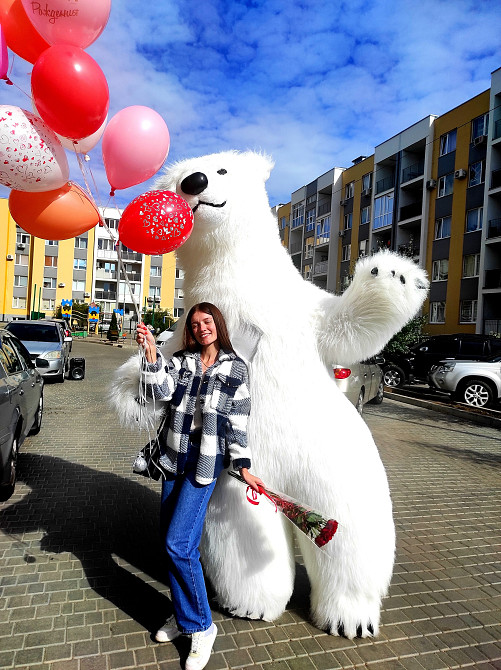 Белый медведь Хмельницкий,Мацьковцы,Красилов,Давыдковцы,Ружичанка,Копыстин,Стуфчинцы,Грузевица заказ Хмельницький - зображення 6