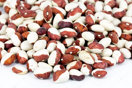 Квасоля продаж великий, дрібний опт Київ - зображення 1