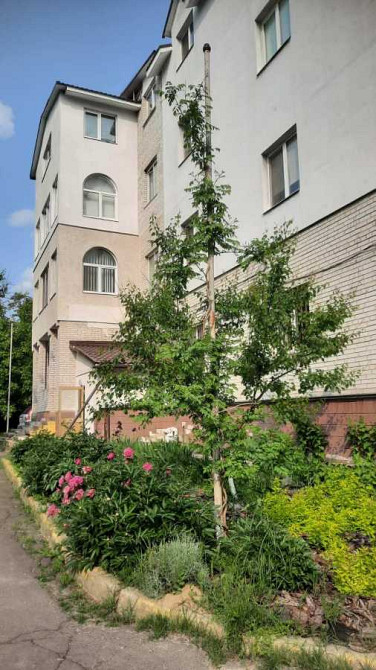 продажа 2-к квартира Броварский, Рожны, 40500 $  - зображення 4