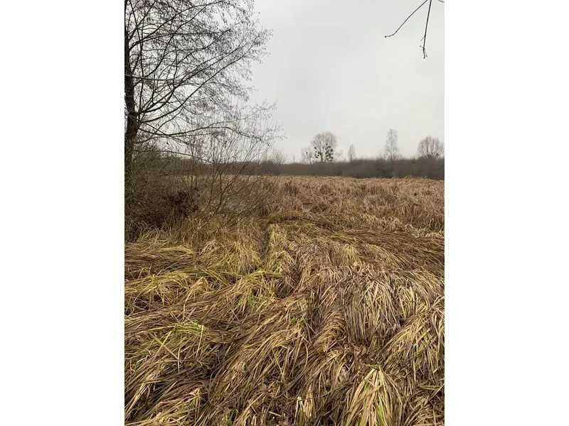 продажа земля сельскохозяйственного назначения Бориспольский, Головуров, 220362 грн.  - зображення 3