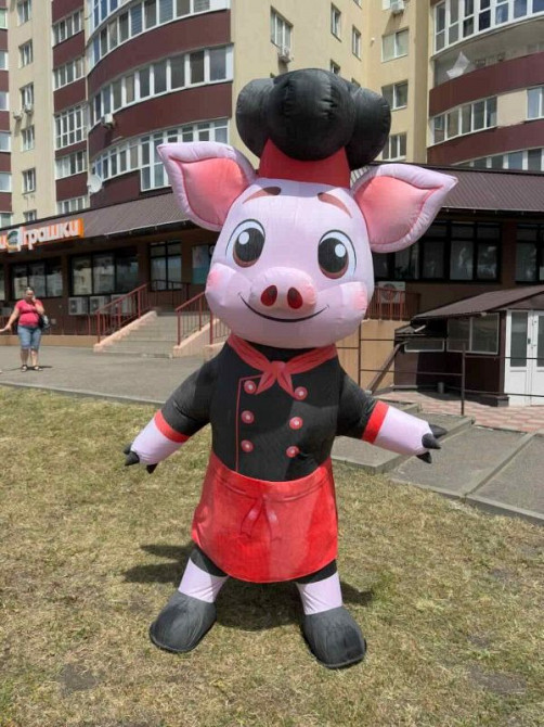 Аниматорский костюм надувной - ходячий щит бренда 240 см 4 часа работы Київ - зображення 1