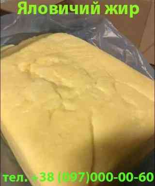 Продам яловичий топлений жир (харчовий) Кривой Рог
