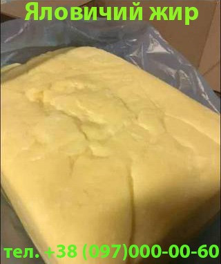 Продам яловичий топлений жир (харчовий) Кривой Рог - изображение 1