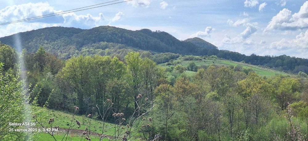 продажа земля рекреационного назначения Воловецкий, Воловец, 800000 $  - зображення 6