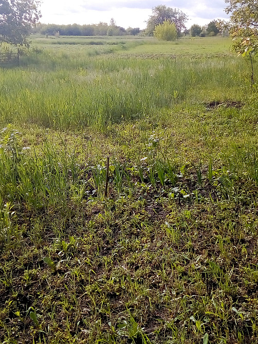 Власник, продам земельну ділянку під будівництвопо жилій вулиці, Гоголів Бровари - зображення 5