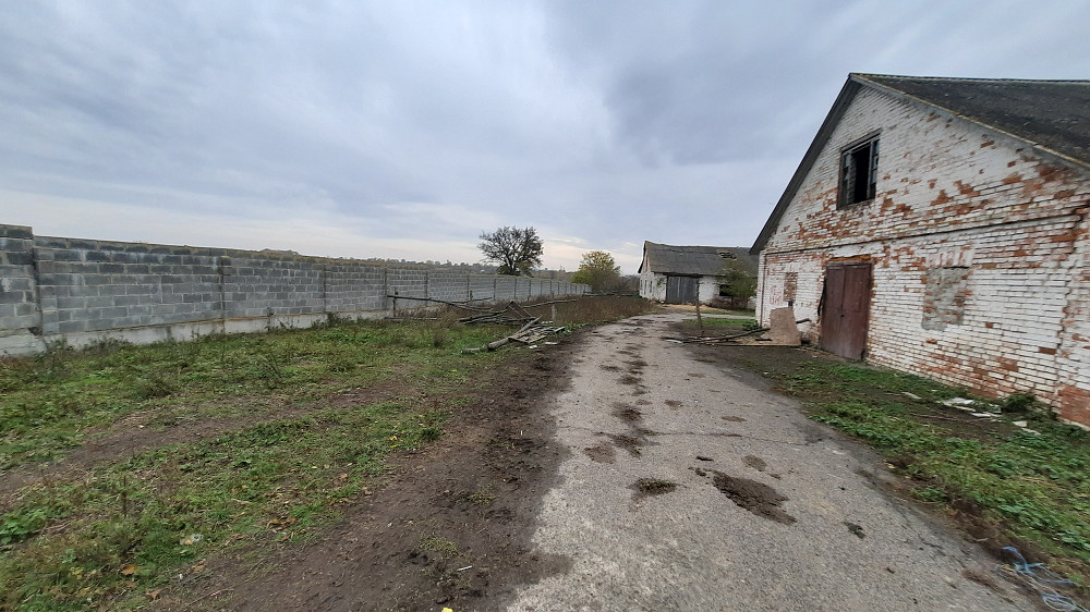 Продається приміщення Ферма Белая Церковь - изображение 2