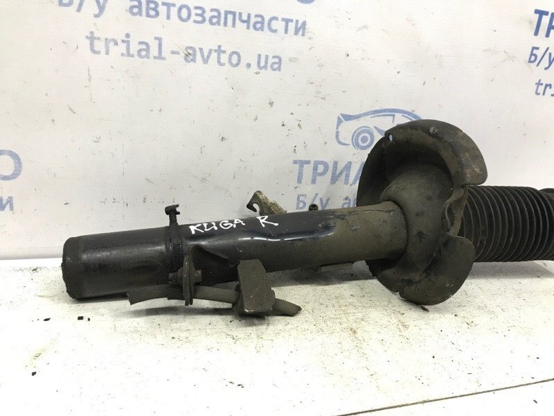 Амортизатор передний правый Ford Kuga CBS 2.0 DIESEL 2011 (б/у) Киев - изображение 3