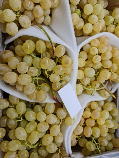 Продаем виноград Киев - изображение 6