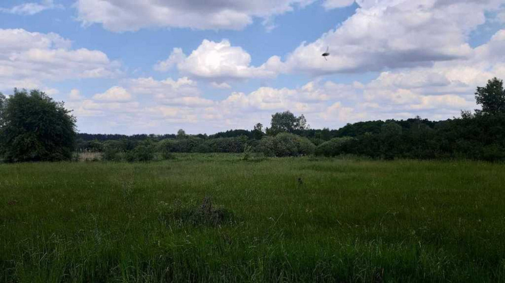 продажа земля сельскохозяйственного назначения Бориспольский, Головуров, 220362 грн.  - зображення 6