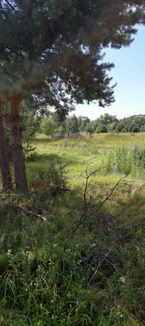 продажа земля сельскохозяйственного назначения Козелецкий, Остер, 90000 $  - зображення 4