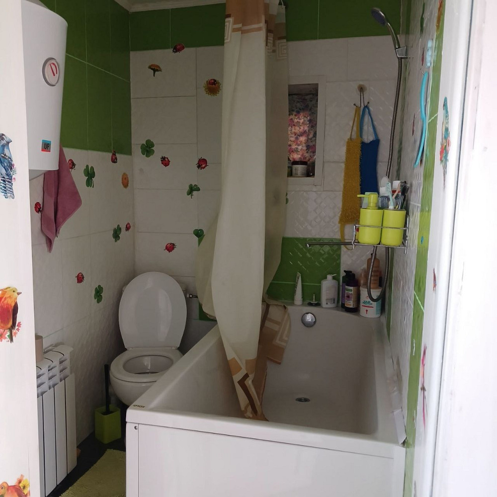 Продається затишний будинок в с. Лосятин Білоцерківського району Біла Церква - зображення 12