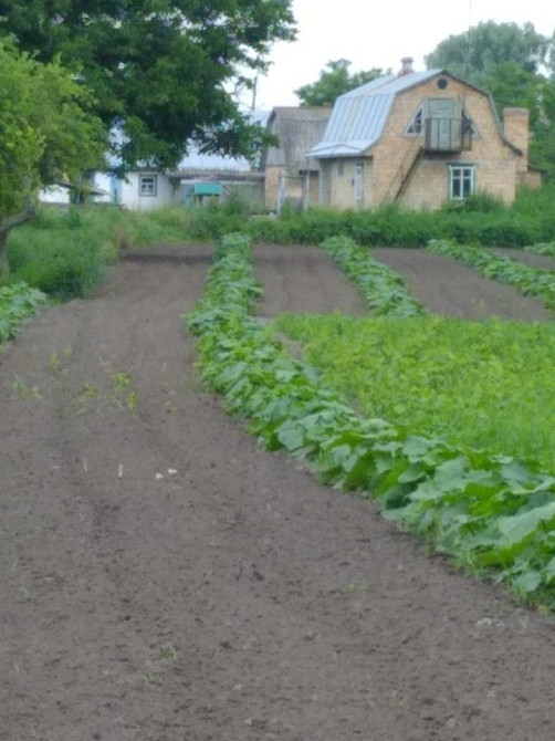 Продається будинок в с.Сахнівка Корсунь-Шевченківський - зображення 6