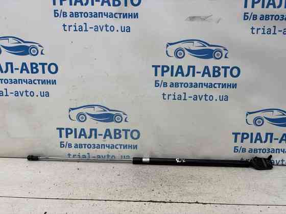Амортизатор капота Lexus RX 350 2003-2009 5344049125 (Арт. 83810) Київ
