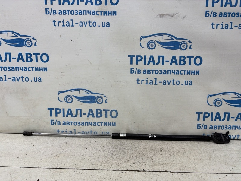 Амортизатор капота Lexus RX 350 2003-2009 5344049125 (Арт. 83810) Київ - зображення 1