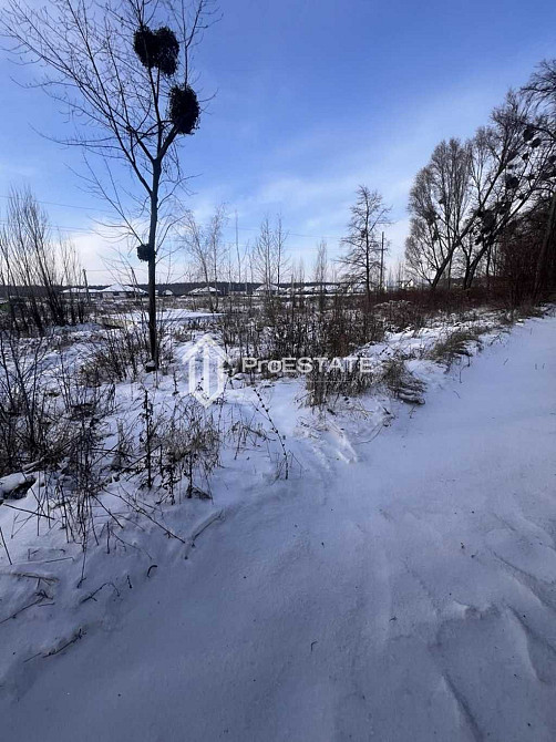 продажа земля сельскохозяйственного назначения Бориспольский, Гнедин, 60000 $  - зображення 12