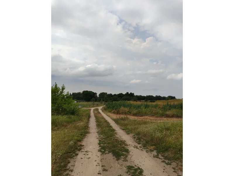 продажа земля сельскохозяйственного назначения Бородянский, Лубянка, 11893757 грн.  - зображення 12